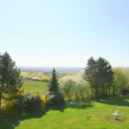 Krone Am Park - Gaestehaus Des Hotel Krone Alzenau in Unterfranken Kültér fotó