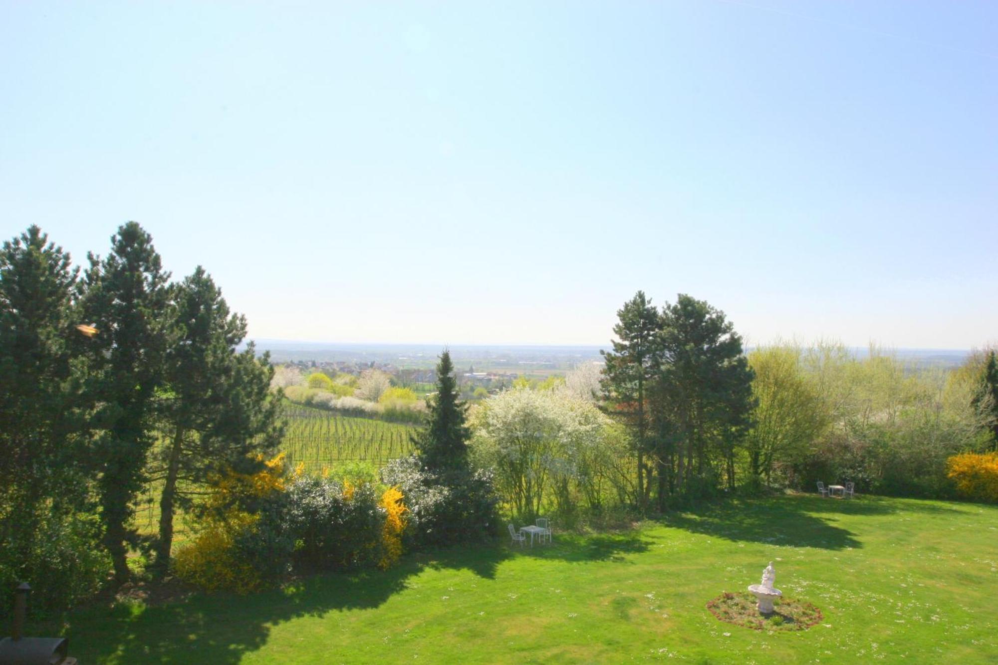 Krone Am Park - Gaestehaus Des Hotel Krone Alzenau in Unterfranken Kültér fotó