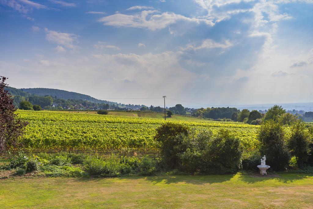 Krone Am Park - Gaestehaus Des Hotel Krone Alzenau in Unterfranken Kültér fotó